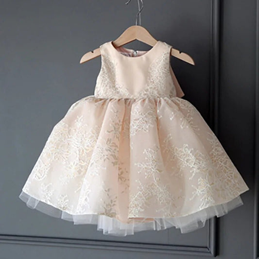 6M-13Yrs Baby Girl 1st 2/3 Year Birthday Dress Christmas dress Sleeveless Formal Embroidery Floral Party Dresses With Big Bow Princess Ball Gown